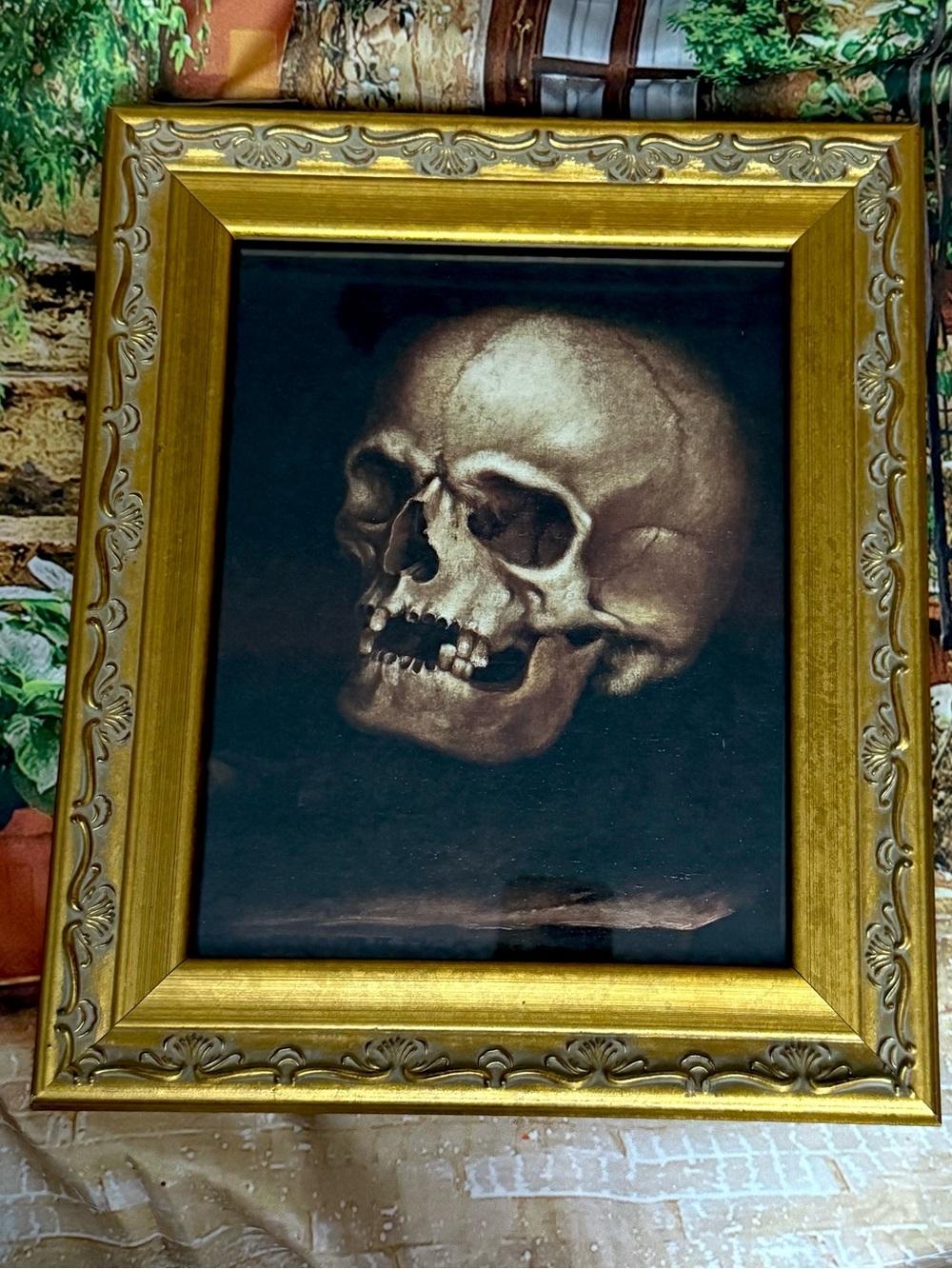 🔥Momento Mori Skull Art Death Pagan Mythology Magic Vintage Baroque Frame💀✨